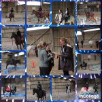 Equifun Mondeville 22/10/23